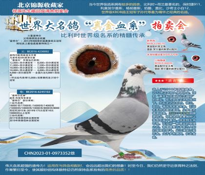 三重基特爾23-0973352雄