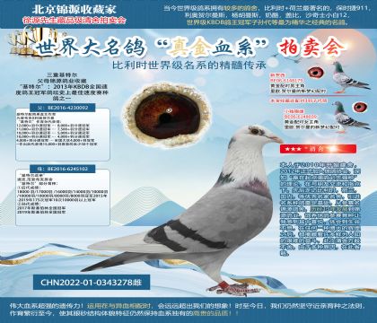 三重基特爾22-0343278雌