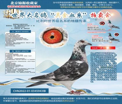 花最佳基特爾22-0345943雄