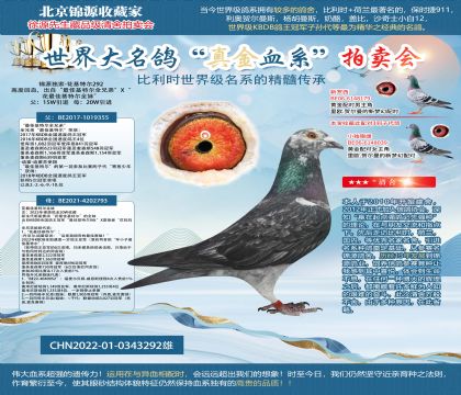 花最佳基特爾22-0343292雌