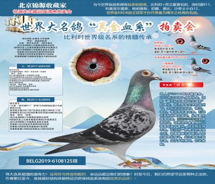 史蒂芬.蘭布瑞契-琳莎全兄弟X琳莎直女