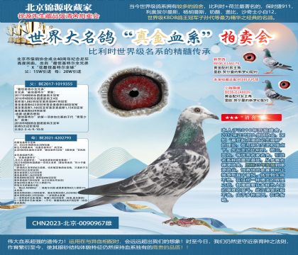 花最佳基特爾23-0090967雌