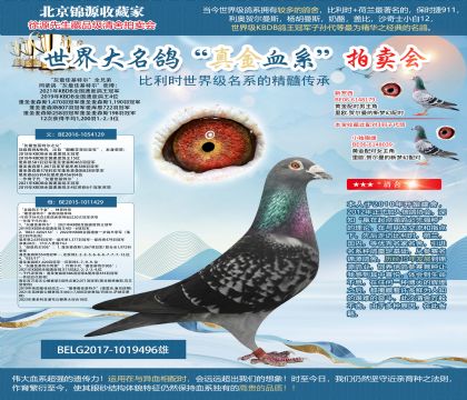 迪霍-迪蒙蘇原舍“灰最佳基特爾”全兄弟