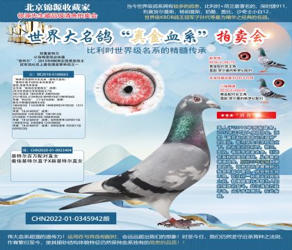 雙重基特爾22-0345942雌