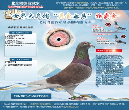詹森紅狐貍23-0973304雄