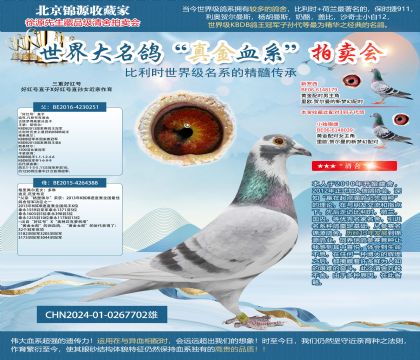 三重好紅號(hào)24-0267702雄(同窩701雙雄)