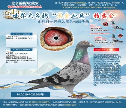 楊.胡曼斯原舍-“帥氣哈利621”X“灰玫瑰”