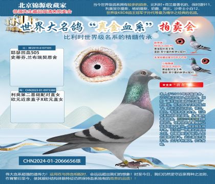 利奧24-2066656雄