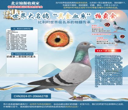 馬塞爾.沃特斯X奶酪24-2066627雄