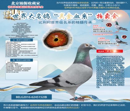 迪克.范登布克原舍-“基特爾外孫”