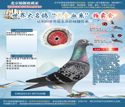 利奧23-0973339雄