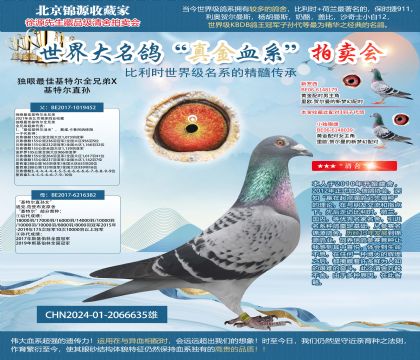 獨(dú)眼最佳基特爾全兄弟X基特爾直孫