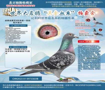 迪霍迪蒙蘇X利奧第一基礎(chǔ)配對(duì)直女