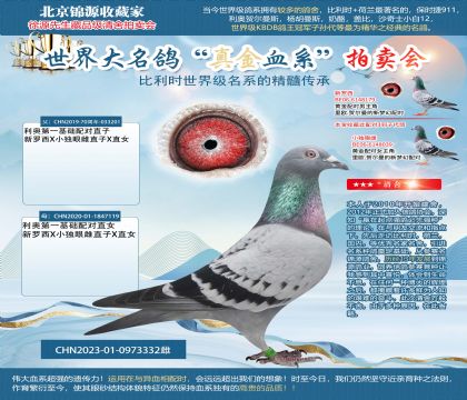 利奧第一基礎(chǔ)配對(duì)雙重回血23-0973332雌