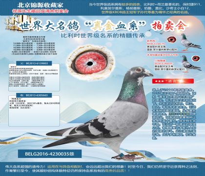 法蘭德收藏原舍-基特爾配雨果直女作育