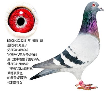 游