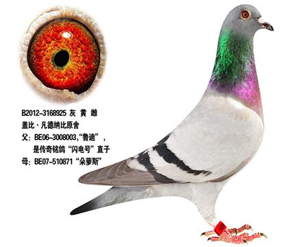 ĸ