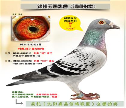 ĸu