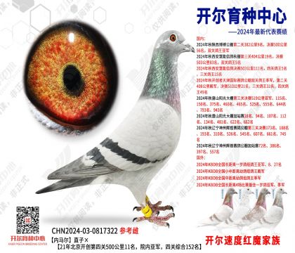 (ni)Rֱӡ21걱_(chung)P(gun)50011Ժ(ni)܊