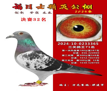 諾日士賽鴿2025春賽決賽32名