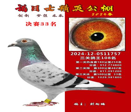 諾日士賽鴿2025春賽決賽33名