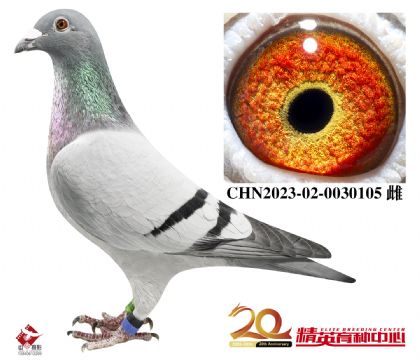 098HN