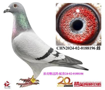 uٛ(zng)