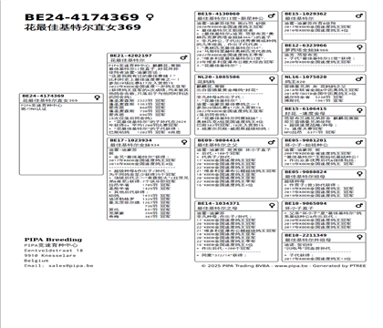 Ѫy(tng)