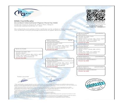 DNA