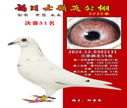 諾日士賽鴿2025春賽決賽51名