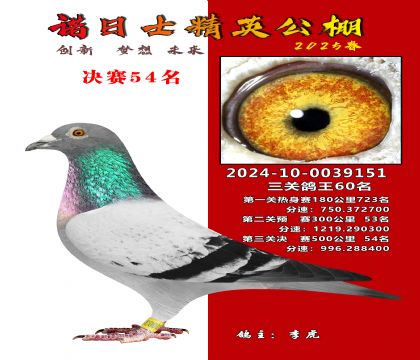 諾日士賽鴿2025春賽決賽54名
