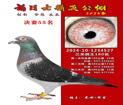 諾日士賽鴿2025春賽決賽55名