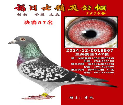 諾日士賽鴿2025春賽決賽57名