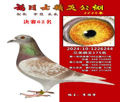諾日士賽鴿2025春賽決賽62名