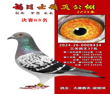 諾日士賽鴿2025春賽決賽63名