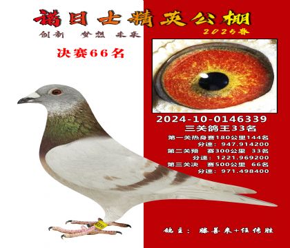 諾日士賽鴿2025春賽決賽66名