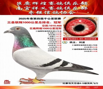 三縣聯(lián)翔千公里總冠軍