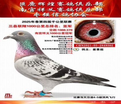 三縣聯(lián)翔千公里總亞軍