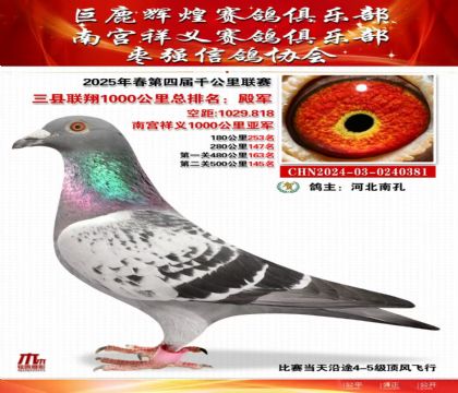 三縣聯(lián)翔千公里殿軍