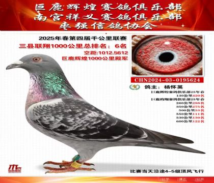 三縣聯(lián)翔千公里6名