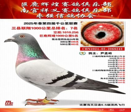 三縣聯(lián)翔千公里7名
