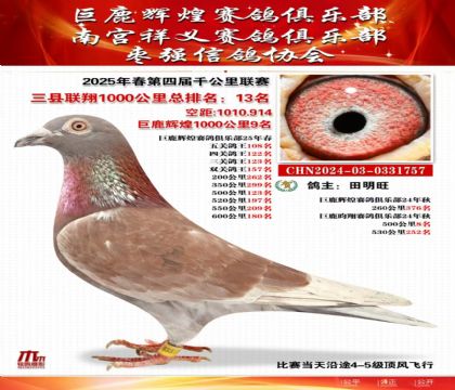 三縣聯(lián)翔千公里13名