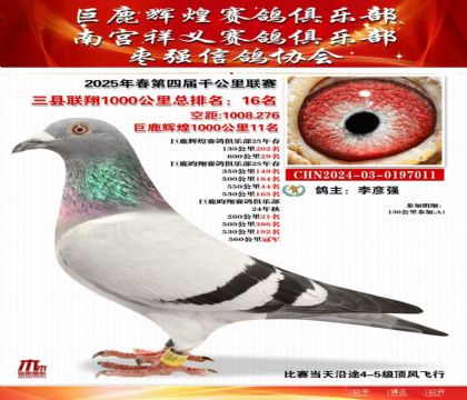 三縣聯(lián)翔千公里16名