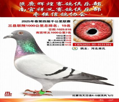 三縣聯(lián)翔千公里19名