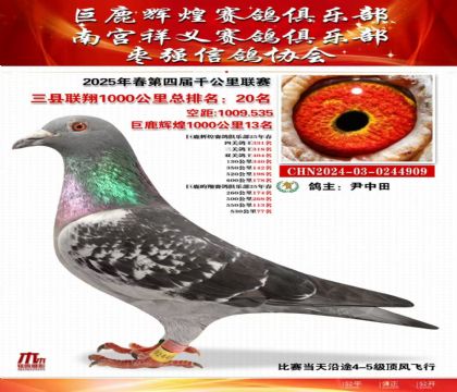 三縣聯(lián)翔千公里20名