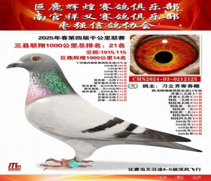 三縣聯(lián)翔千公里21名