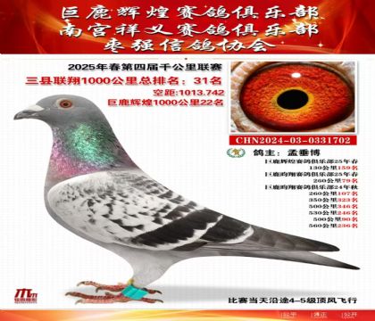 三縣聯(lián)翔千公里31名