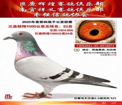 三縣聯(lián)翔千公里33名