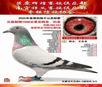 三縣聯(lián)翔千公里35名