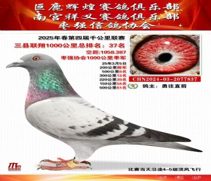 三縣聯(lián)翔千公里37名